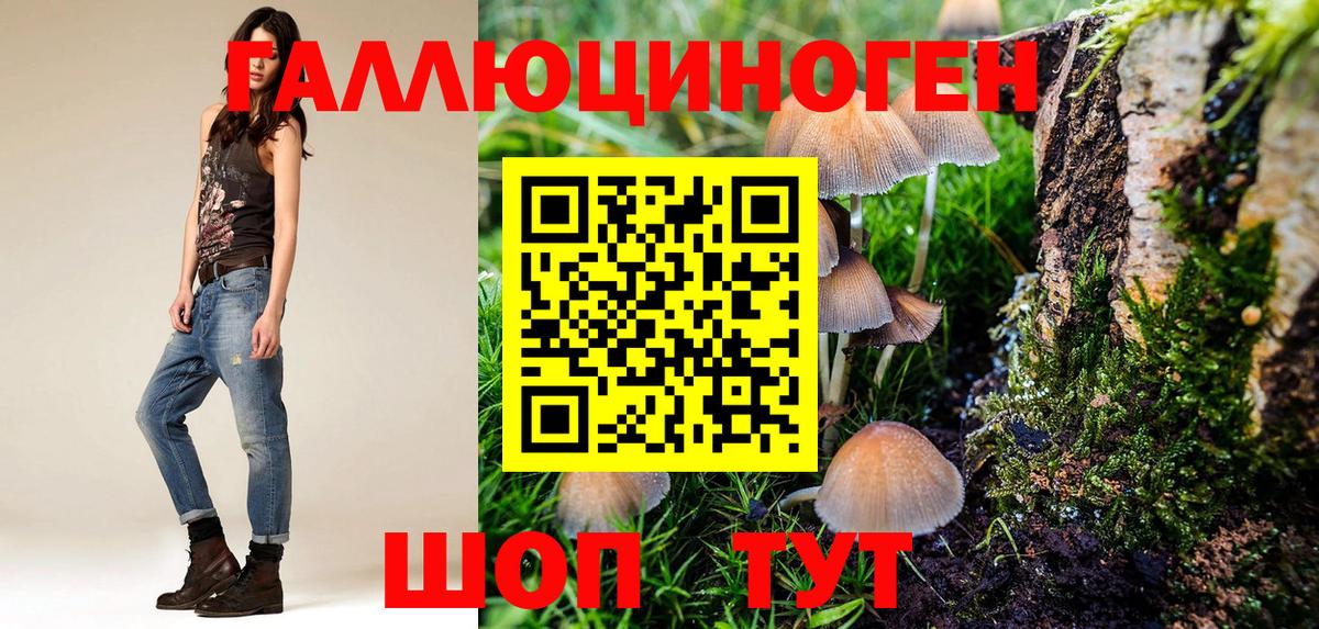 Псилоцибиновые грибы Psilocybine cubensis Заринск