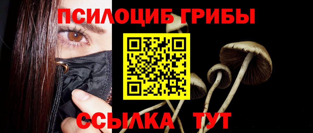 Галлюциногенные грибы Cubensis  Вход с VPN  Галлюциногенные грибы Psilocybine cubensis  Заринск 